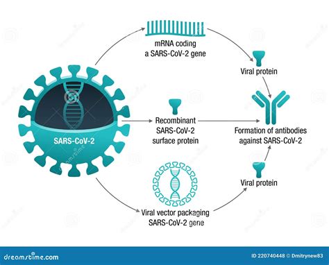 Noom Weight Cost Analysis for Peptide Wholesale Purity Specs Certification Sourcing Guide