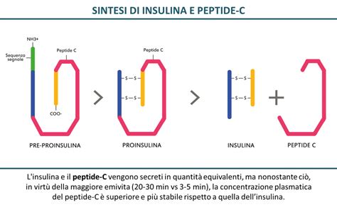 BPC 157 Peptide Purity Specifications and Manufacturing Standards for Lab and Cosmetic Sourcing