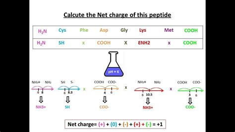 Pharma Grade Peptides Sourcing Guide: Purity, Specifications, Certifications for B2B Wholesale