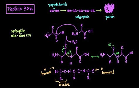Compleat Pediatric Peptide Purity Specifications and Certified Manufacturing Sourcing Guide