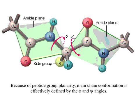 What Does ANP Stand For in Peptide Manufacturing Purity Specifications and Sourcing