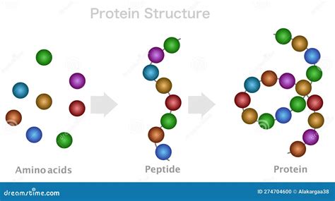 Program Blast Purity and Manufacturing Specifications for B2B Peptide Sourcing Guide