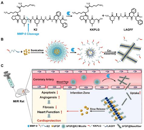 Optimizing Peptides and TRT: Purity Specifications, Manufacturing Standards, and Sourcing Guide